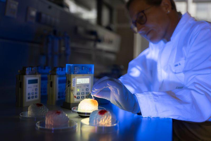 Tissue Samples